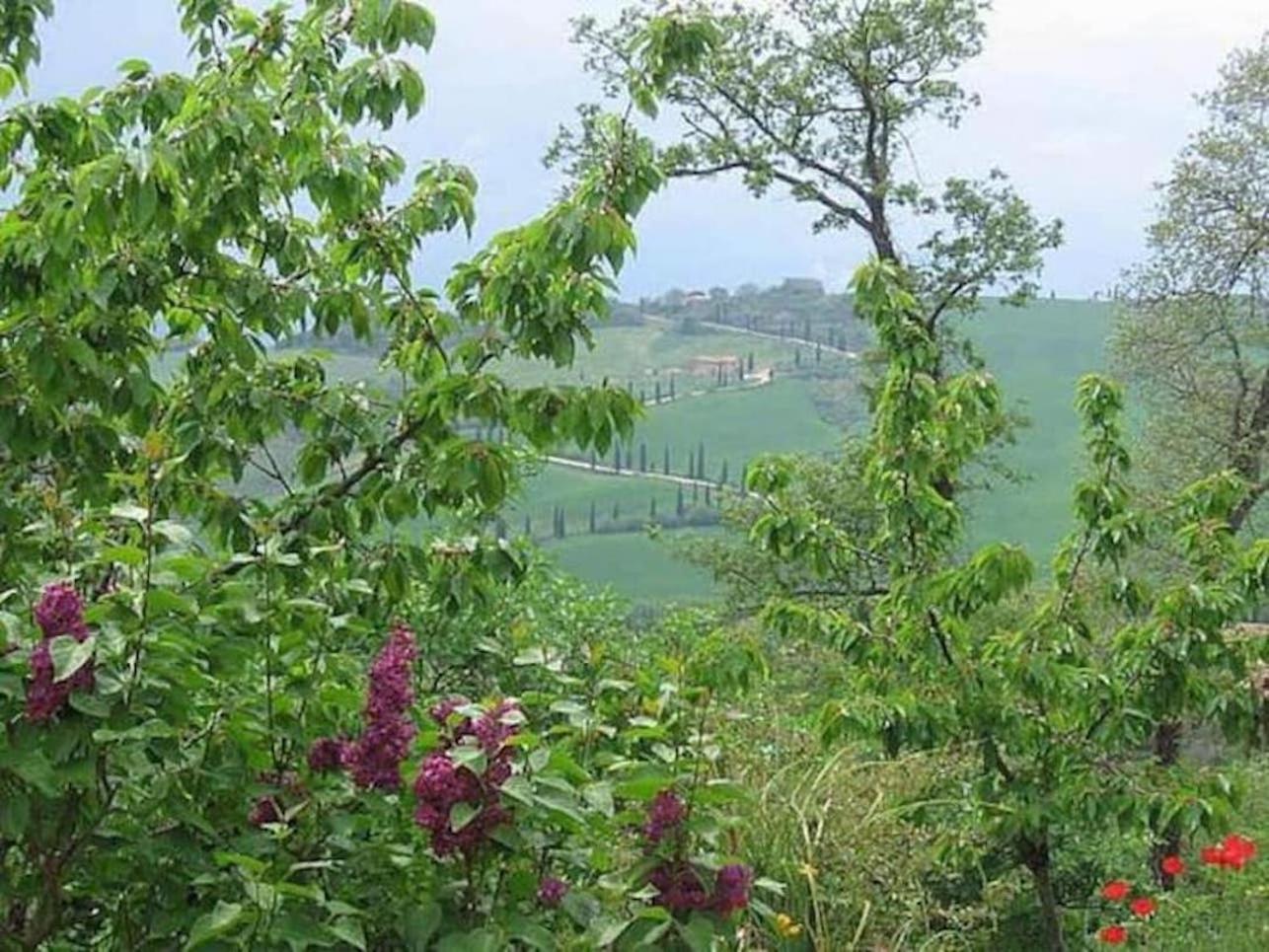 Holiday home Casa Asilo La Foce, Val D' Orcia, Pienza. *