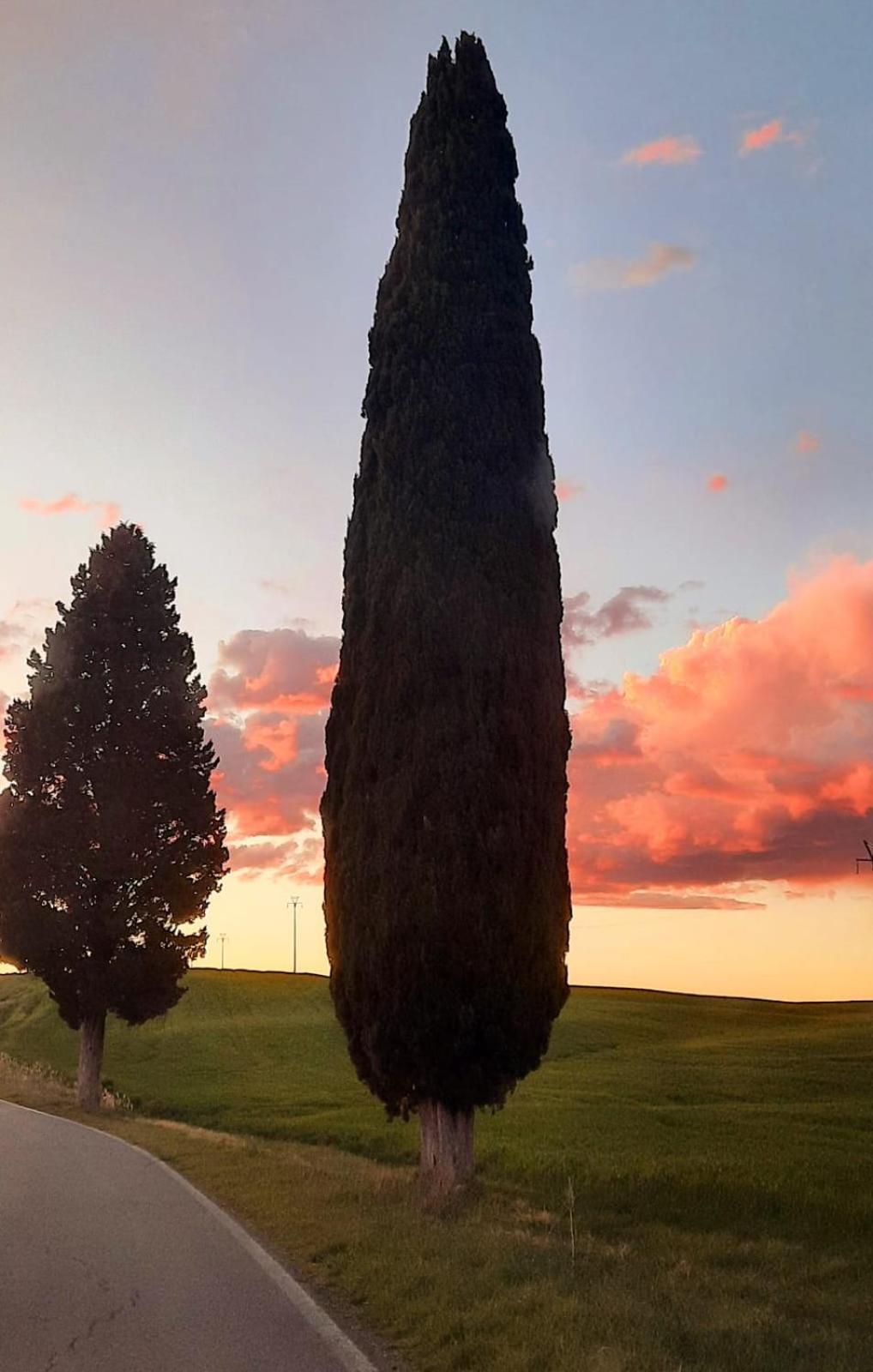 Casa Asilo La Foce, Val D' Orcia, Pienza. *